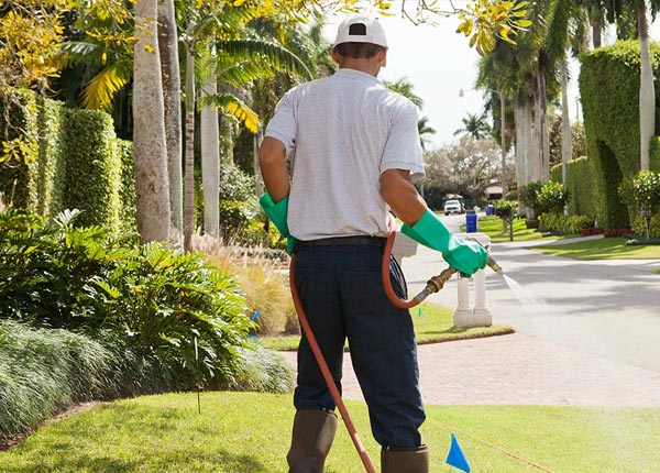 About Mount Vernon VA Pest Control Pros